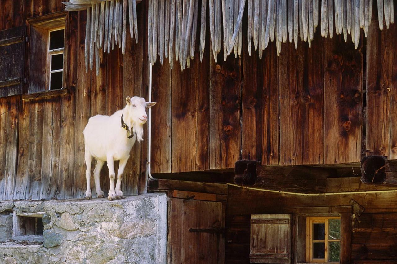 Haus Karin Bed and Breakfast Sankt Gallenkirch Εξωτερικό φωτογραφία